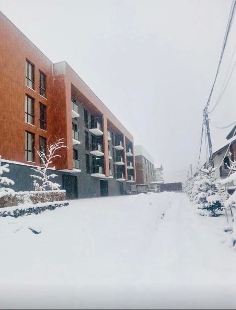 2 room Flat For Sale. Bakurianis Andeziti