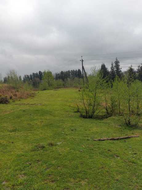 Land For Sale. Kvemo Natanebi