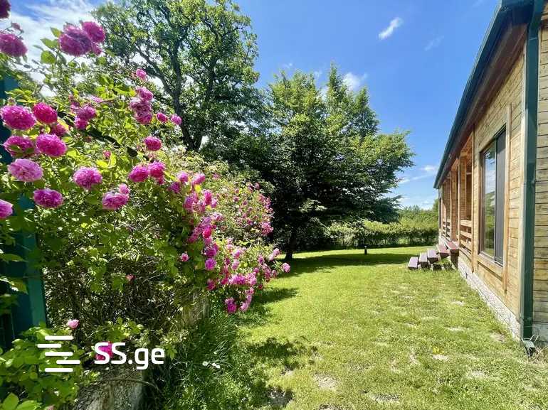 5 Room Private House Daily Rent. Betania view 25