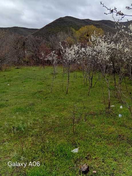 Land For Sale. Ksovrisi