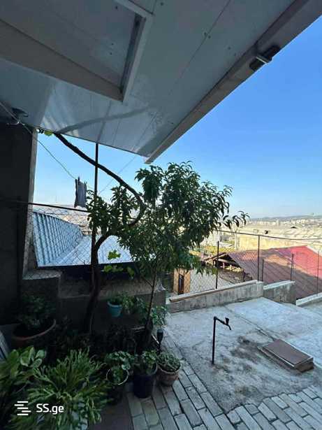 https://static.ss.ge/20260414/0_64ca1a9f-ac4b-4505-b262-9434320e9841_Thumb.jpg