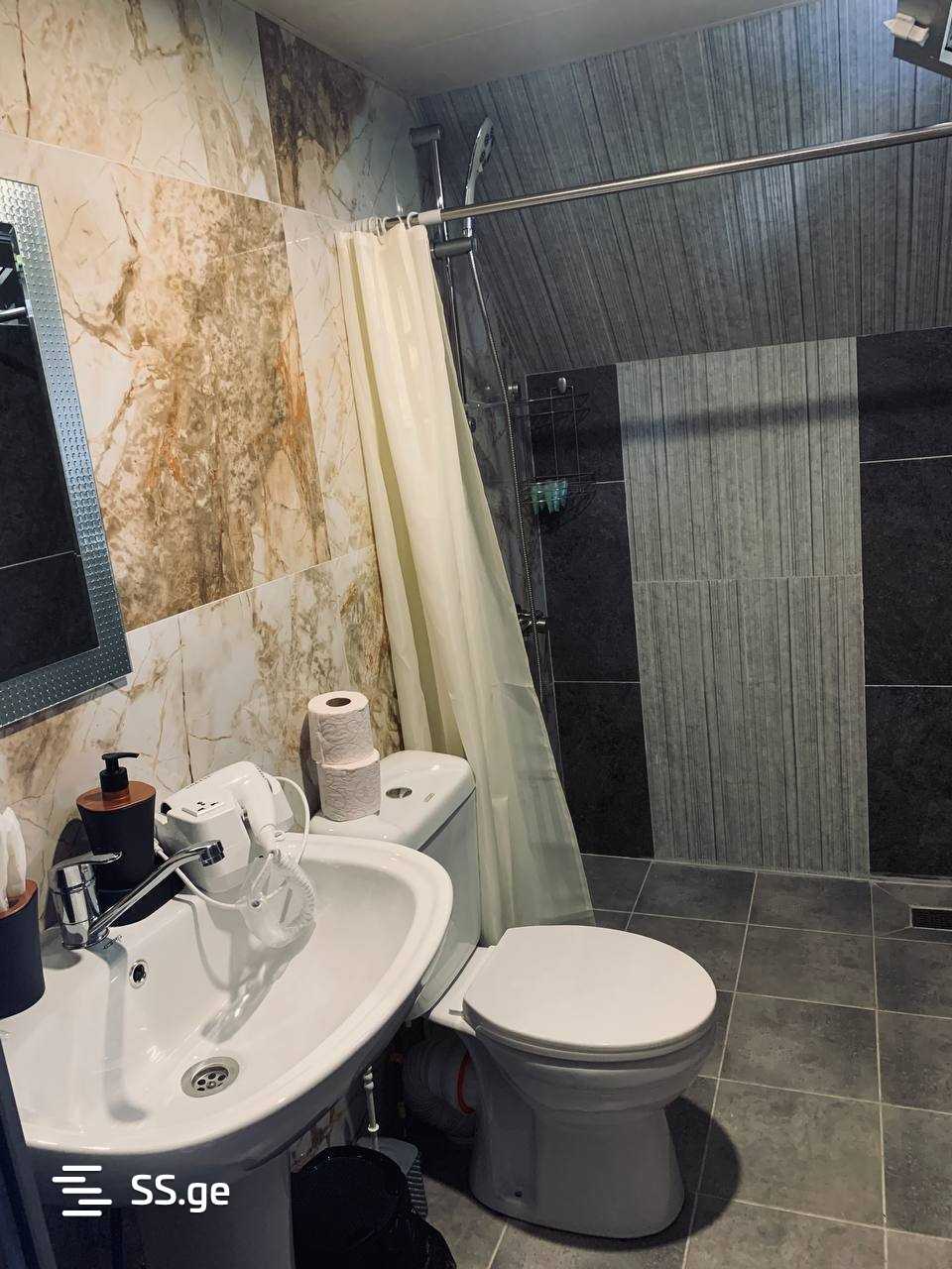 2 Room Summer Cottage Daily Rent. Kobuleti view 7