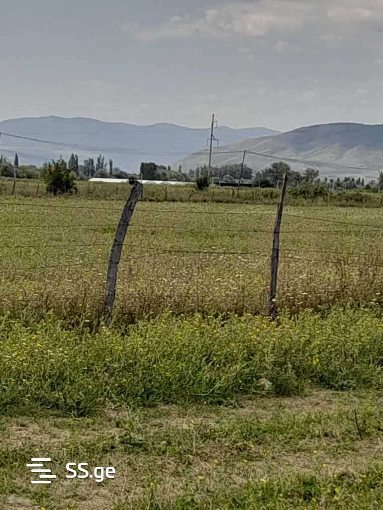 Land For Sale. Mukhrani view 3