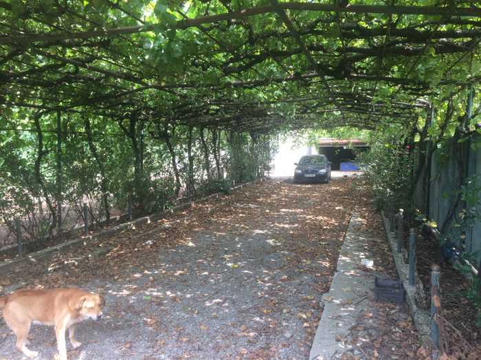 https://static.ss.ge/20260415/17_35479e81-8567-4bd9-b5d2-9d32b9d2e8cd_Thumb.jpg