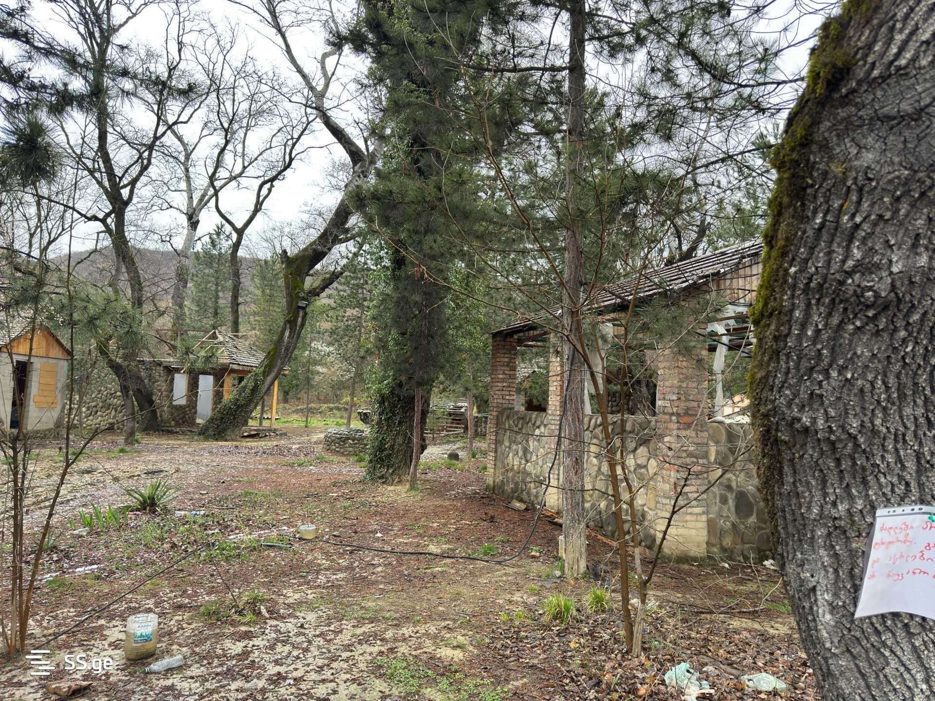 For Sale Kvebis Obiekti Commercial Space Sagarejoshi view 14