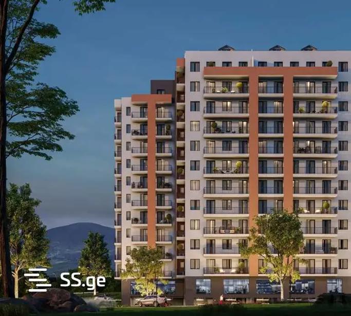 https://static.ss.ge/20260415/18_37a023f5-8eae-438b-adde-52dcad83bc67_Thumb.jpg