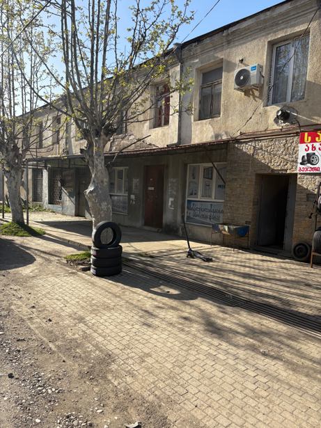 https://static.ss.ge/20260415/19_6b82da25-8f83-4729-9c0e-57594b7b14cf_Thumb.jpg