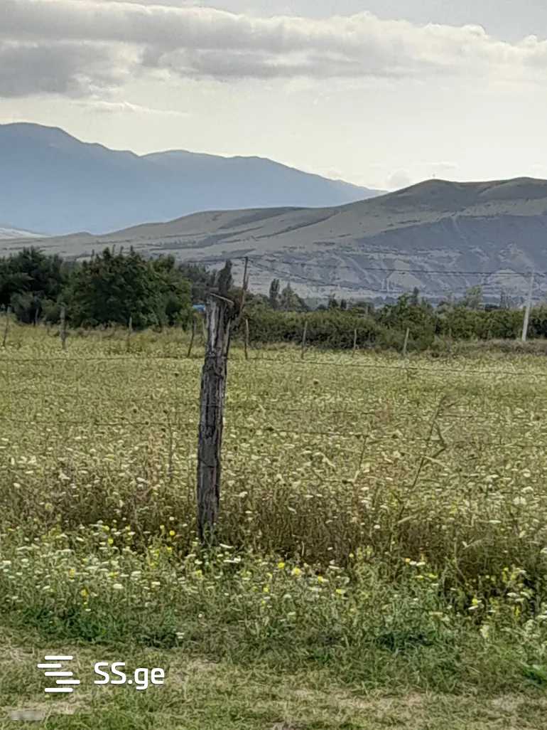 Land For Sale. Mukhrani view 2