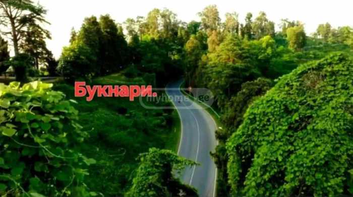 https://static.ss.ge/20260415/1_bccee9d2-fc51-4c69-b257-5f282039a66b_Thumb.jpg
