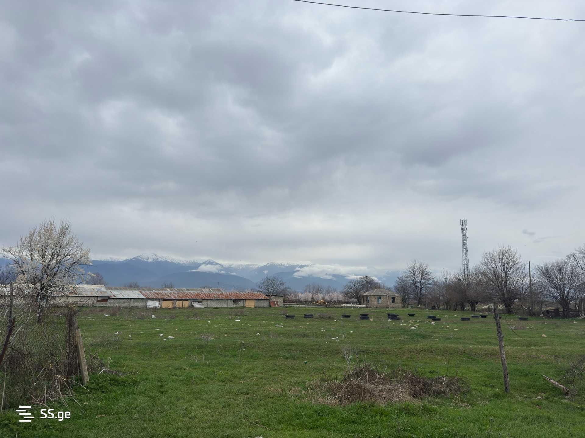 იყიდება Store-Industrial Property ახმეტაში view 5