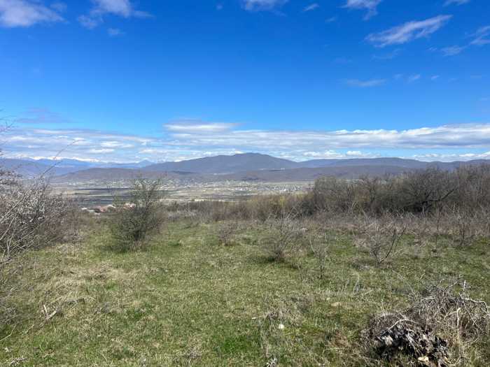 https://static.ss.ge/20260416/16_763cf4d2-88e2-4cfb-9491-1961abcae1ef_Thumb.jpg