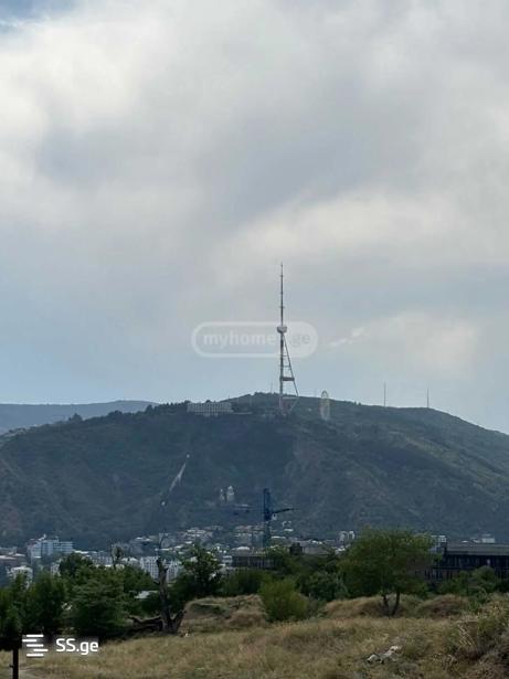 https://static.ss.ge/20260416/16_d4c7a4e5-46fb-4f2d-9aaa-225d39553745_Thumb.jpg