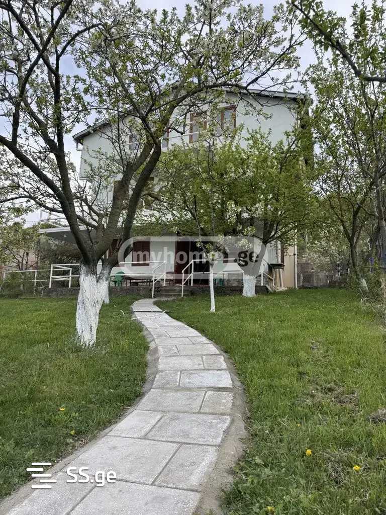 Private House For Rent. Betania view 2