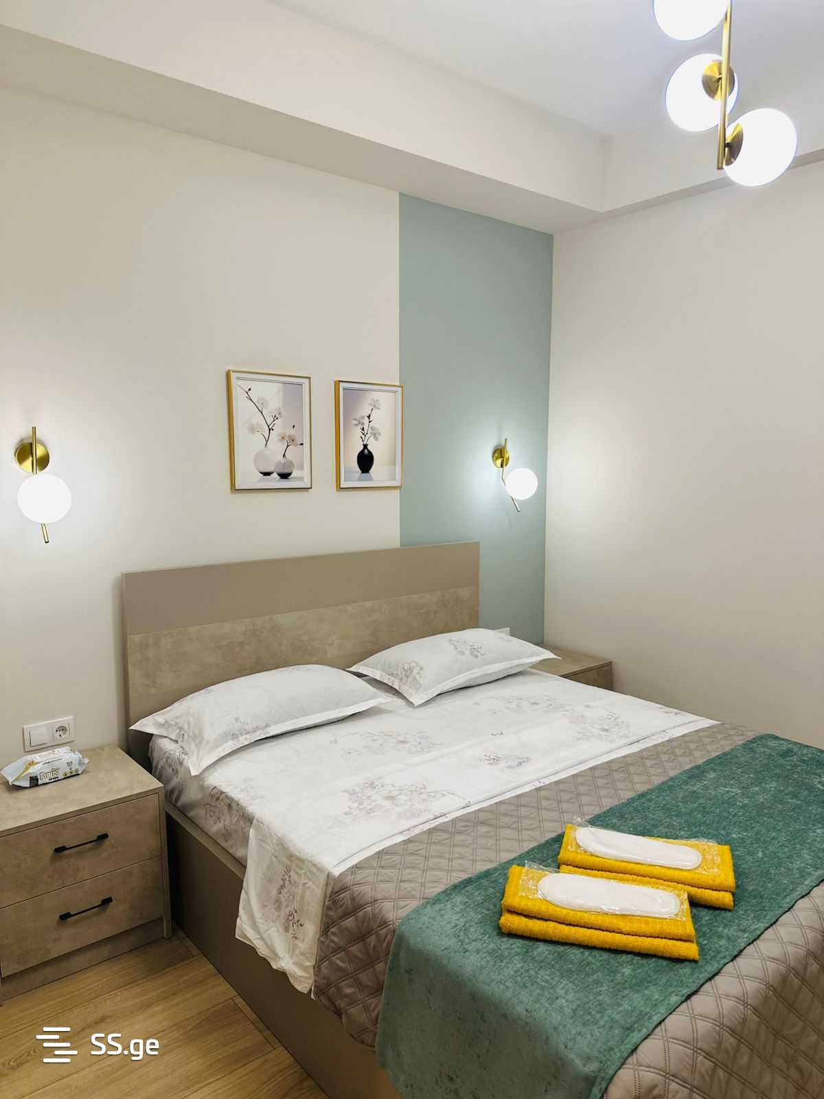 2 Room Flat Daily Rent. Mukhiani view 5