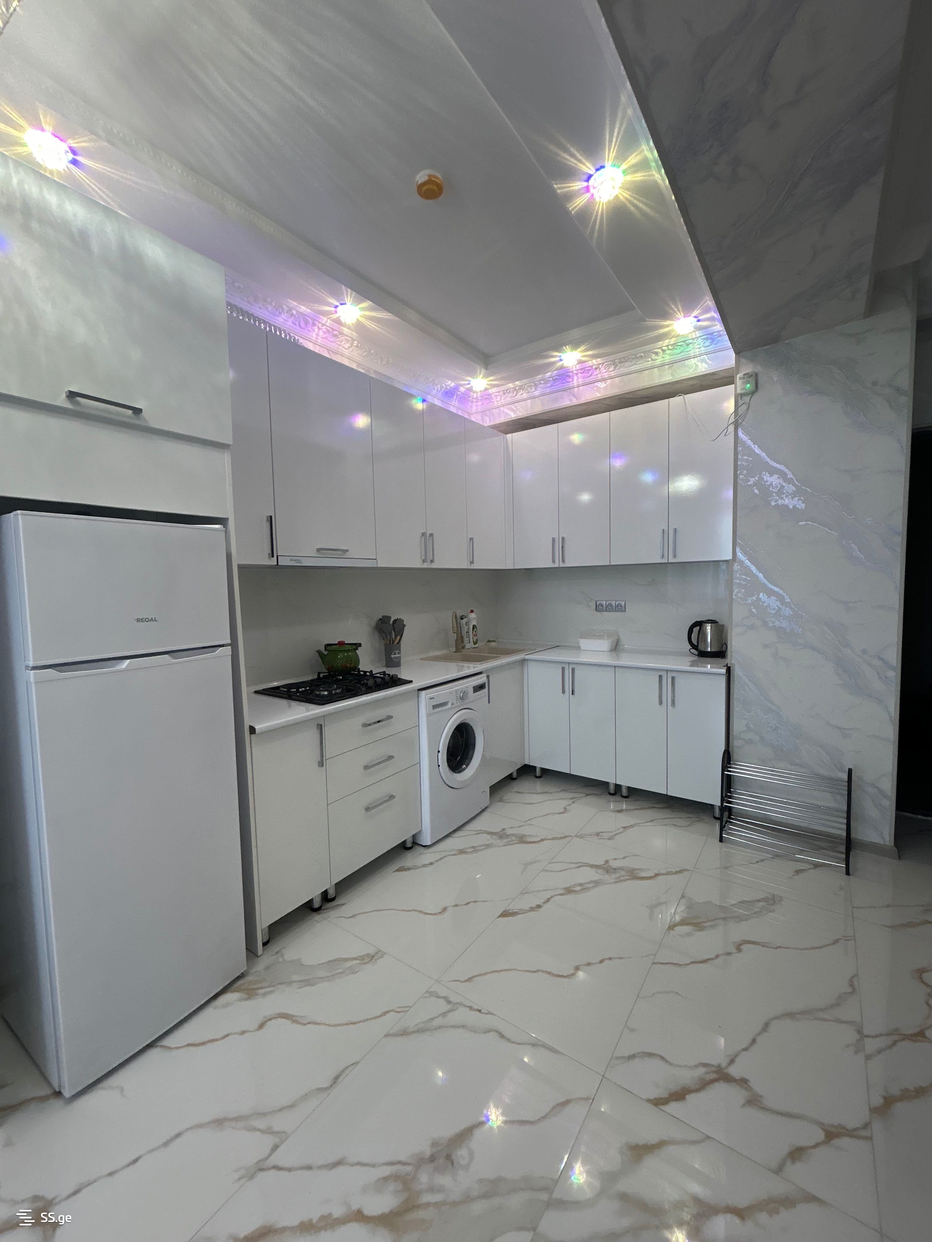 2 Room Flat Daily Rent. Rustavi view 3