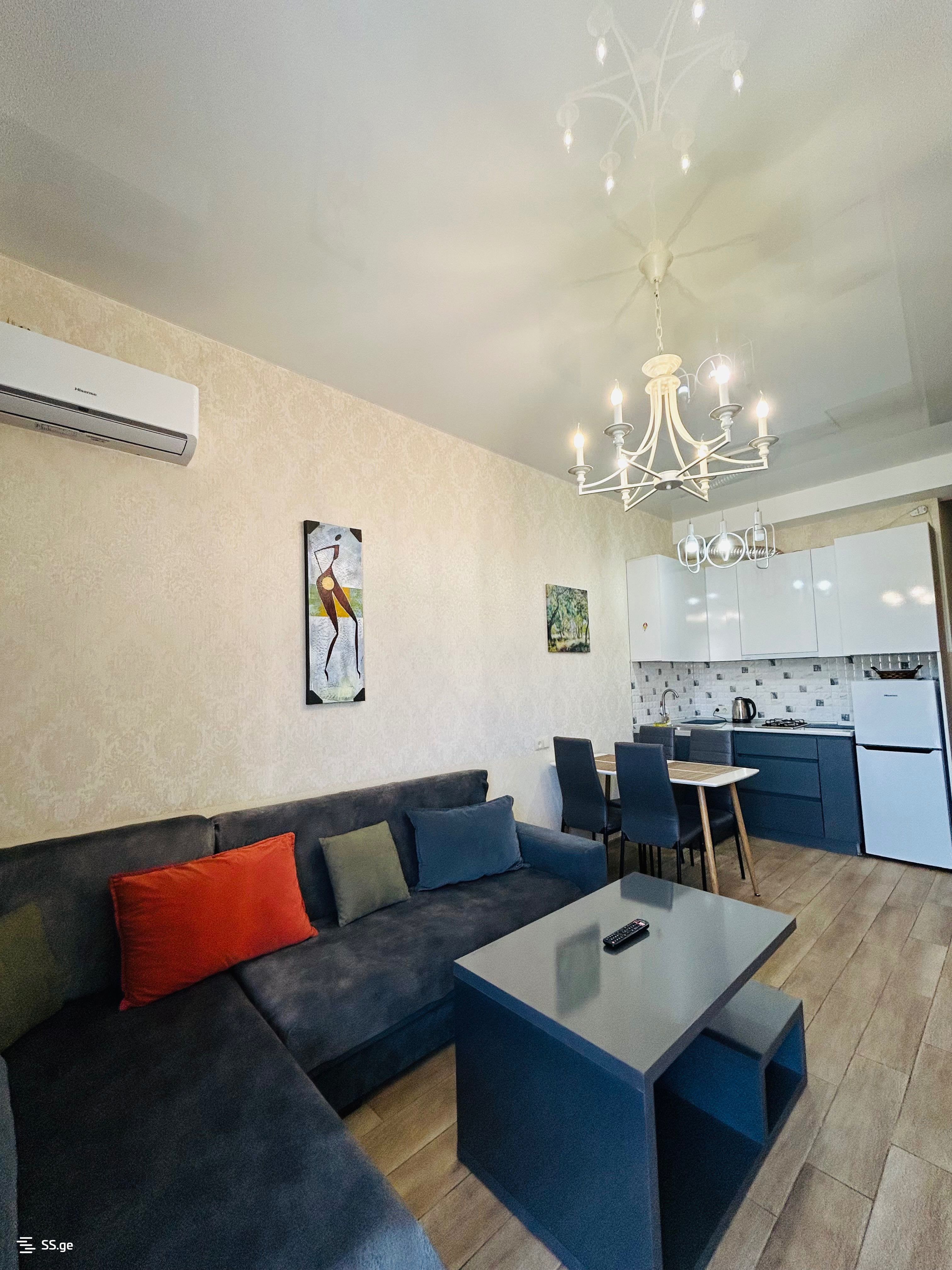 2 Room Flat Daily Rent. Nadzaladevi view 1