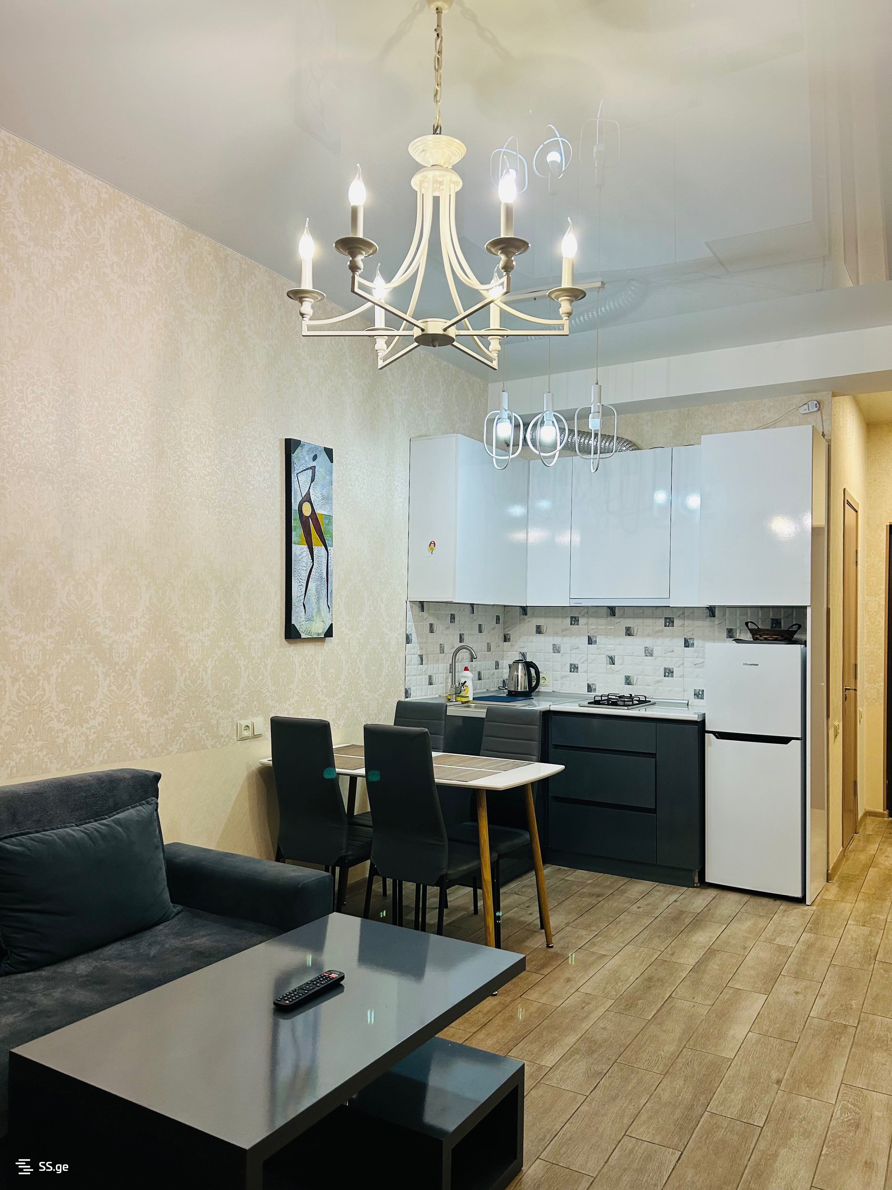 2 Room Flat Daily Rent. Nadzaladevi view 11