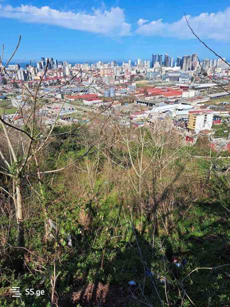 https://static.ss.ge/20260419/8_e9773409-0fe8-491e-8900-f9f41bd2a5c7_Thumb.jpg