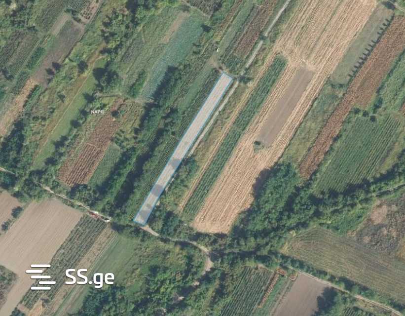 Продажа Земля / участок в Sighnaghshi view 9