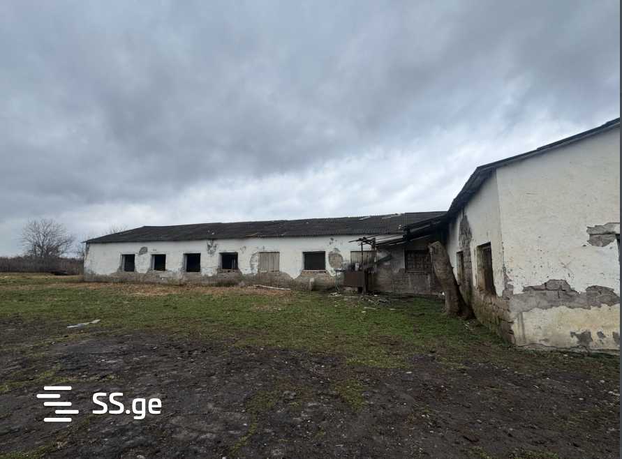 Store-Industrial Property For Sale. Gurjaani view 1