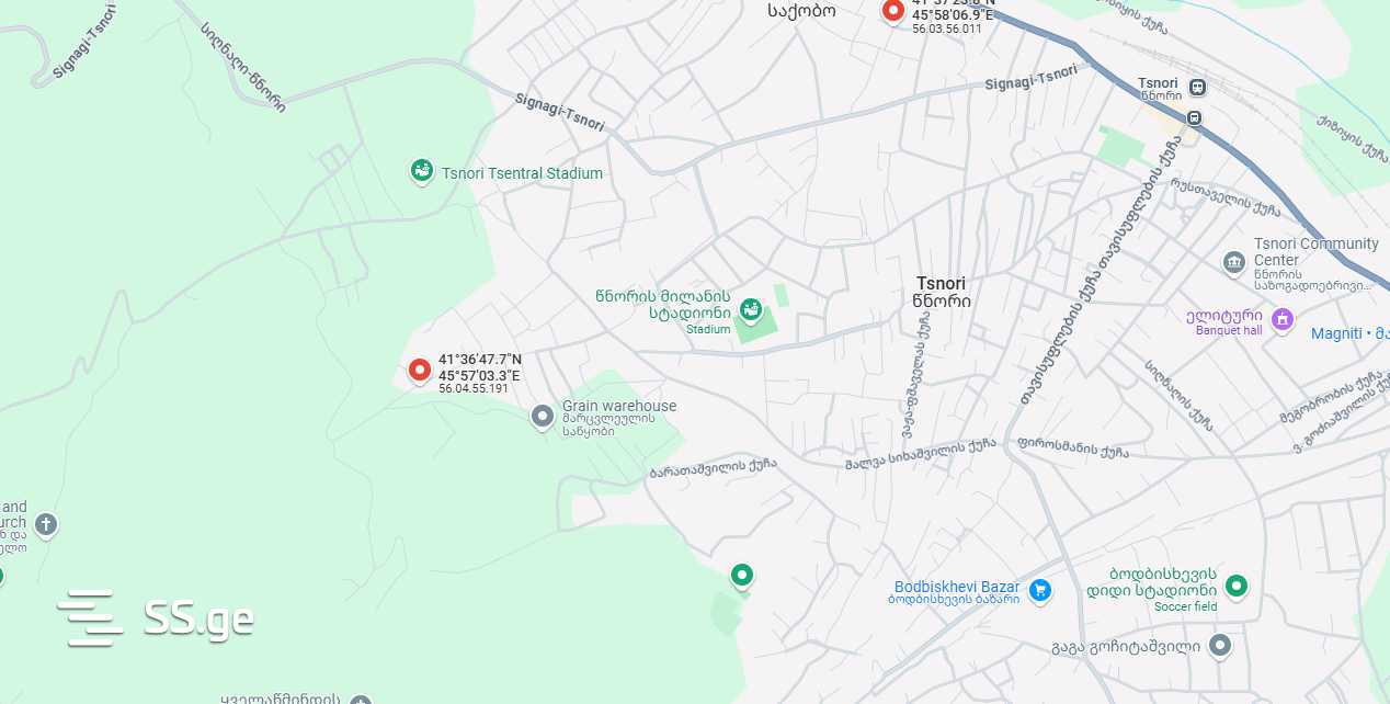 For Sale Satsarmoo Commercial Space Sighnaghshi view 18
