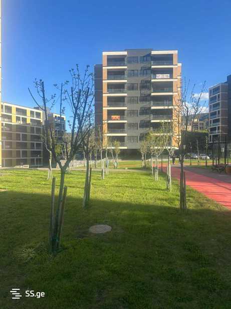 https://static.ss.ge/20260420/11_eb619c9c-89f3-49ac-8cdf-3b8a01bebbdd_Thumb.jpg