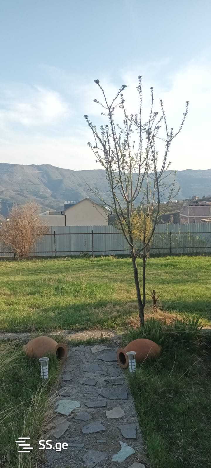 5 Room Private House For Sale view 6