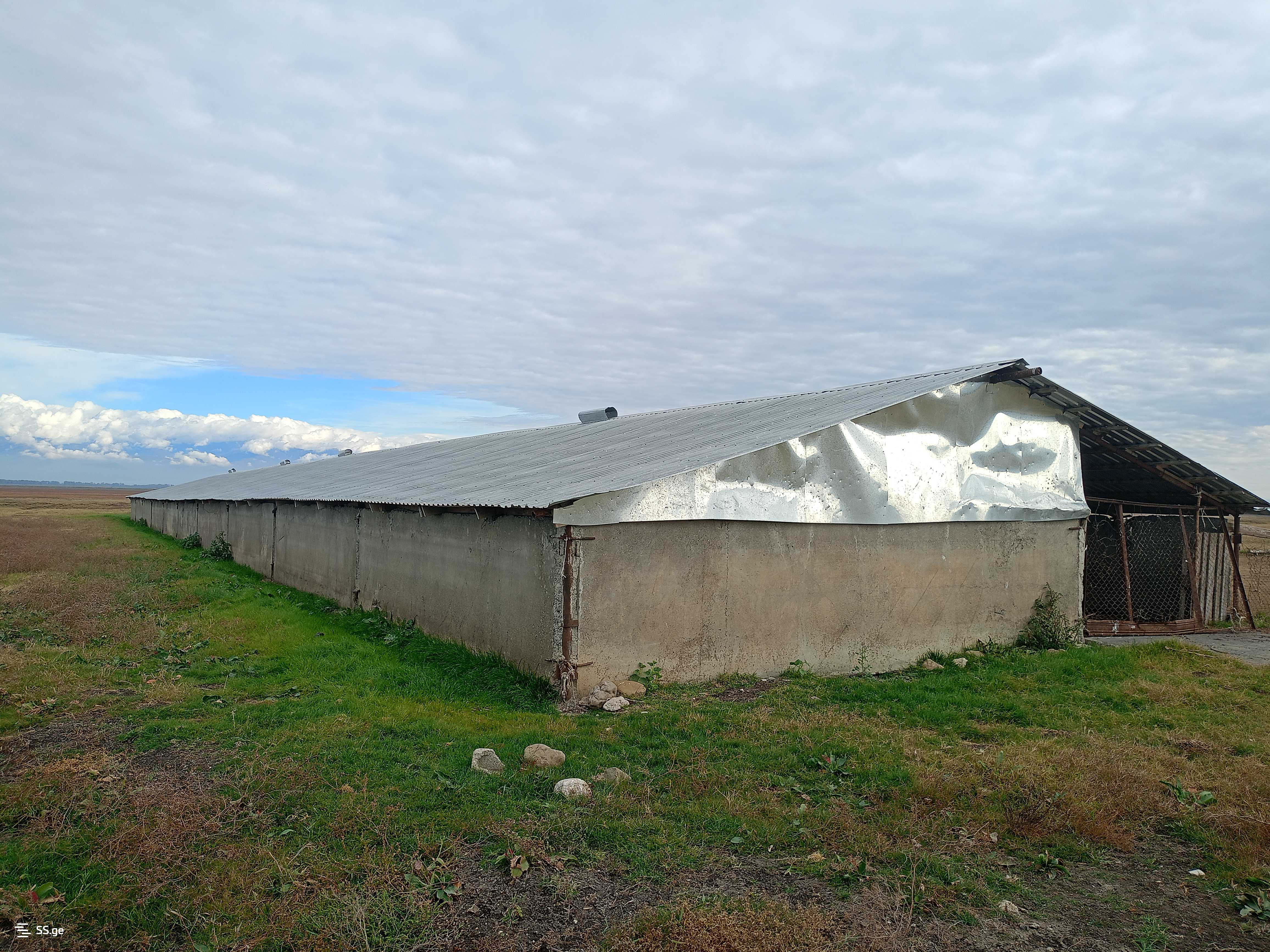 For Sale Universaluri Commercial Space Sighnaghshi view 13