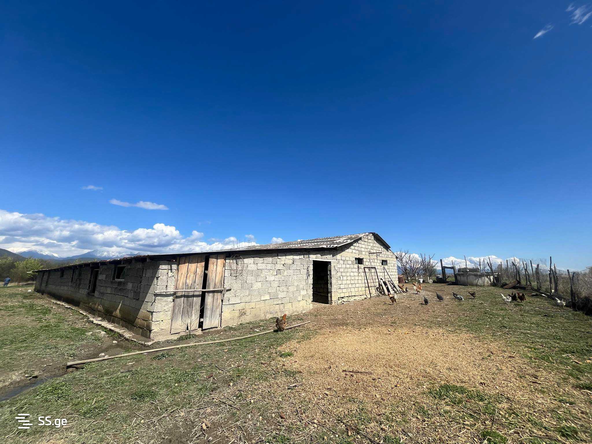 Manufacturing Commercial Area For Sale In Akhmeta view 9