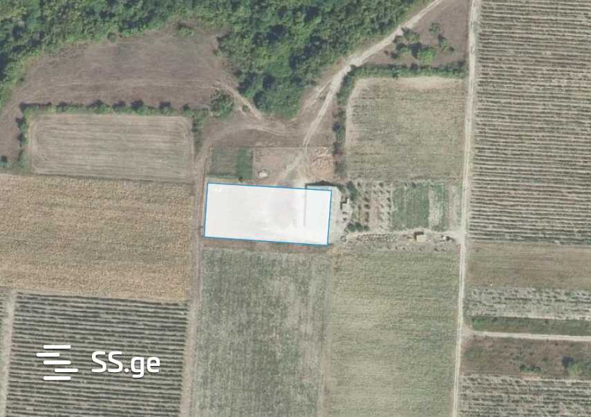 Manufacturing Commercial Area For Sale In Akhmeta view 15