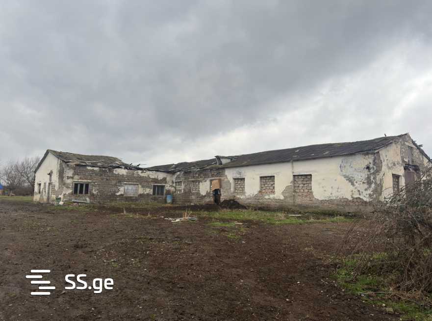 Store-Industrial Property For Sale. Gurjaani view 4