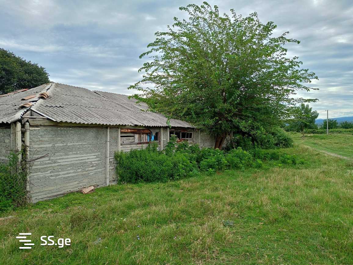 იყიდება Store-Industrial Property ახმეტაში view 2