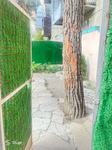 https://static.ss.ge/20260420/19_c82ca35d-9567-4d00-9728-174d9cee09d9_Thumb.jpg