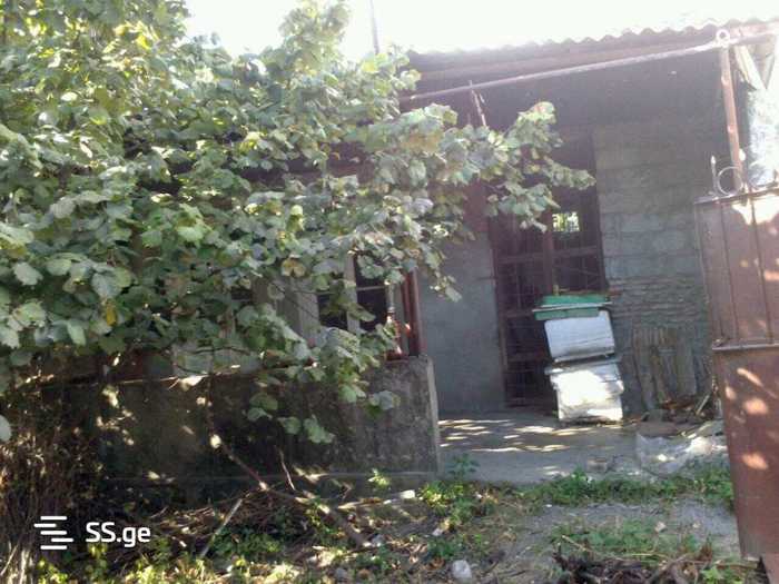 https://static.ss.ge/20260420/2_31f0d67d-35b7-4d69-8d40-345141fb0ef9_Thumb.jpg