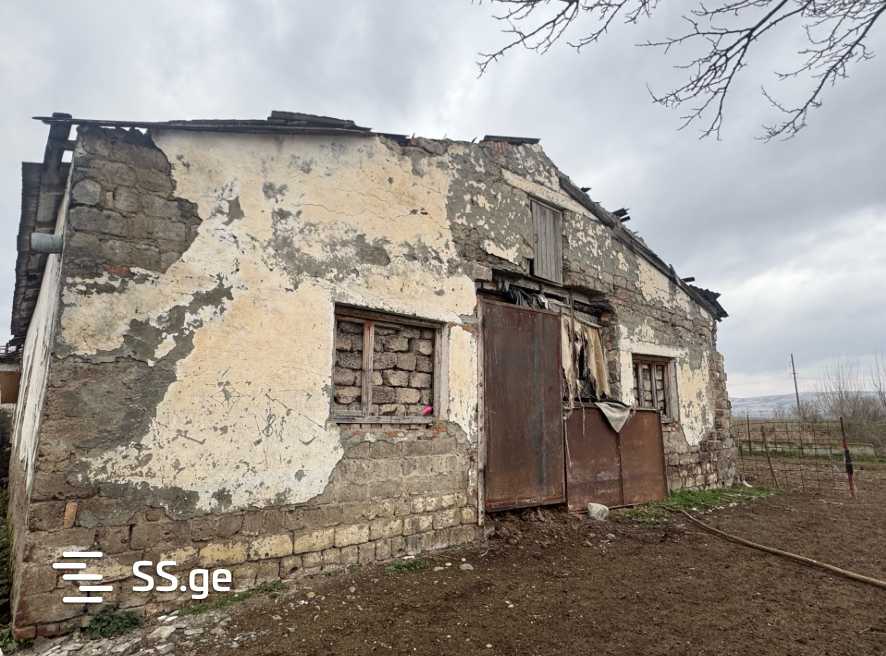 Store-Industrial Property For Sale. Gurjaani view 7