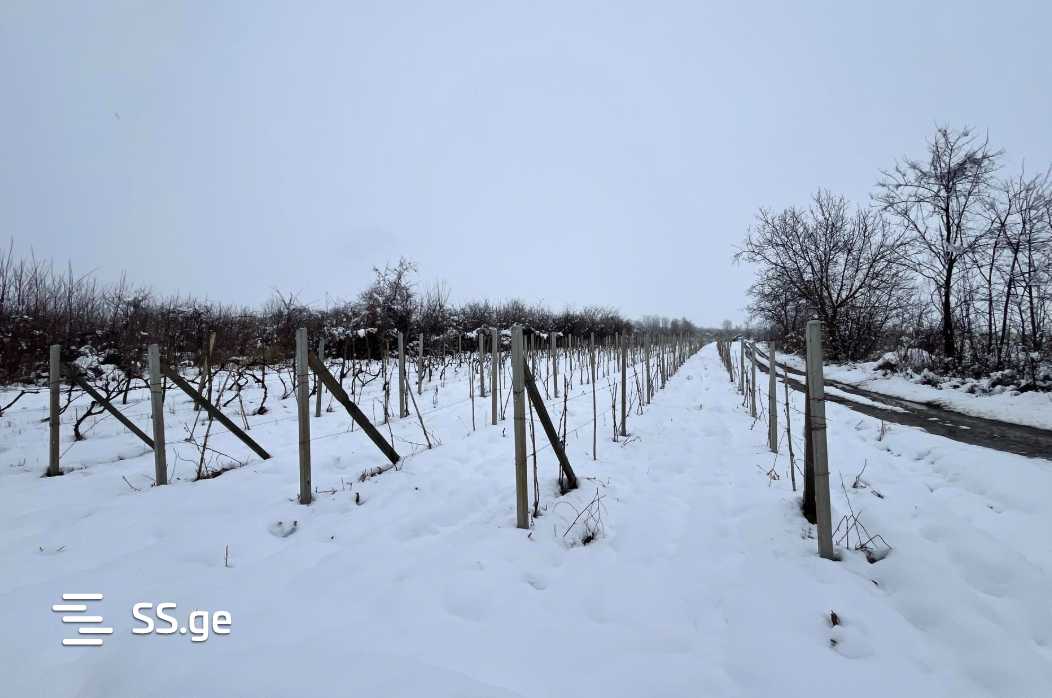 Продажа Земля / участок в Sighnaghshi view 8