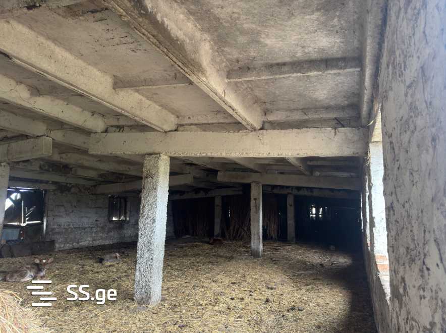 Store-Industrial Property For Sale. Gurjaani view 8