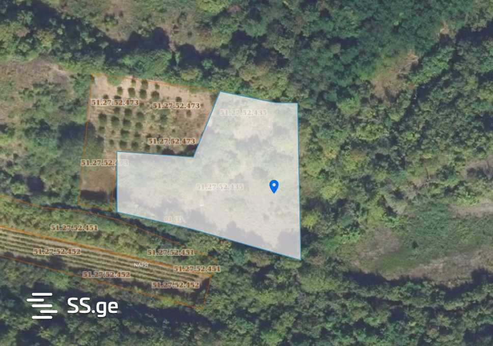 Продажа Земля / участок в Gurjaanshi view 9