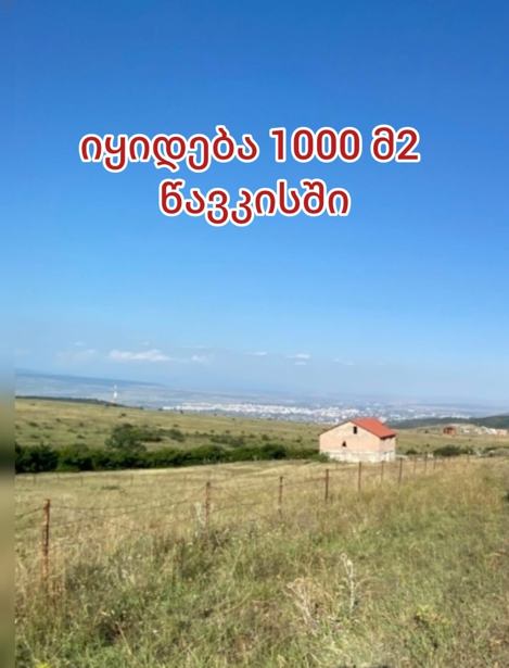 https://static.ss.ge/20260421/14_8b0c3f6f-e812-4de6-8bff-cd7f43dfd748_Thumb.jpg