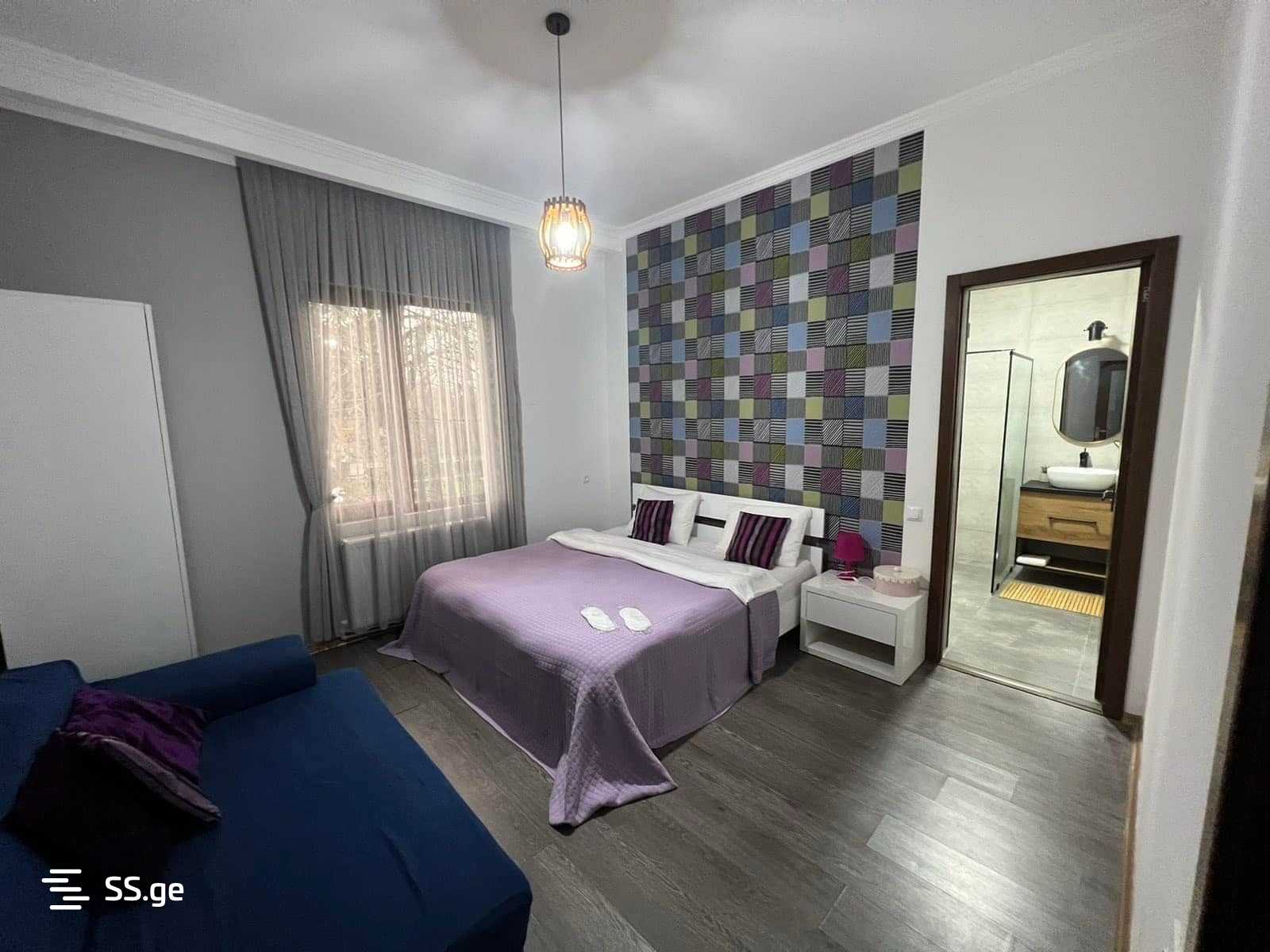 4 Room Private House For Rent. Kutaisi view 6