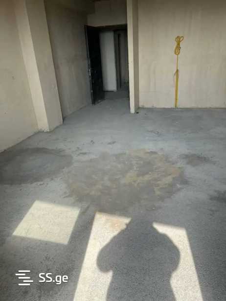 https://static.ss.ge/20260421/17_d9086db8-3599-40d0-939e-3b39d56b79e1_Thumb.jpg