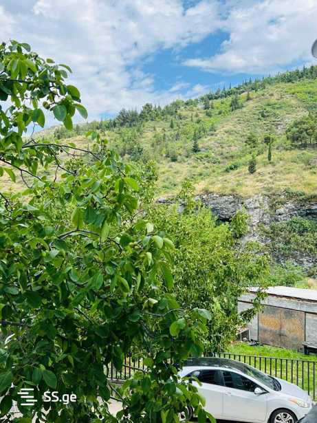 https://static.ss.ge/20260421/8_b649fbfc-586f-419f-9148-36d402d49e0e_Thumb.jpg