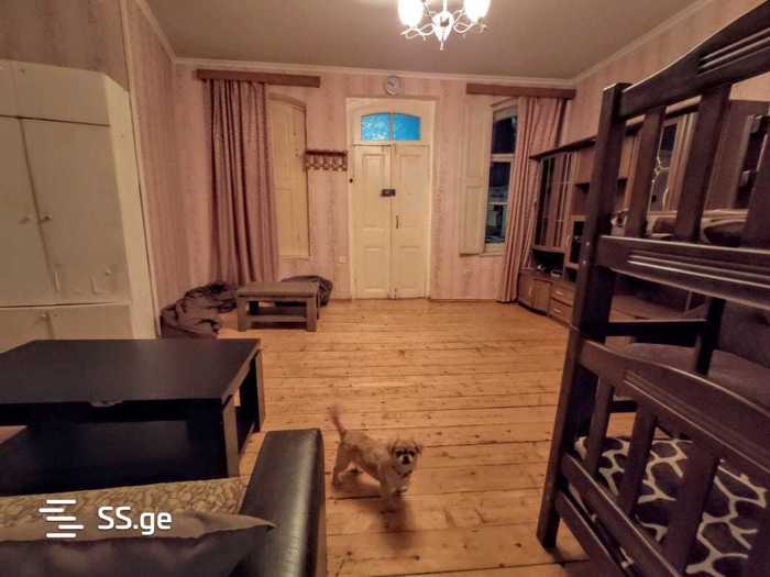 https://static.ss.ge/20260422/10_ed34249e-9ec3-46c1-81b4-b303b9de4846_Thumb.jpg
