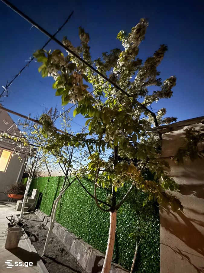 4 Room Private House For Rent. Svanetis Ubani, 11 of 12