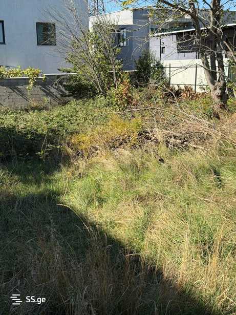 https://static.ss.ge/20260422/3_6a652964-0c72-4bdc-91bc-0ff8bede1eb2_Thumb.jpg