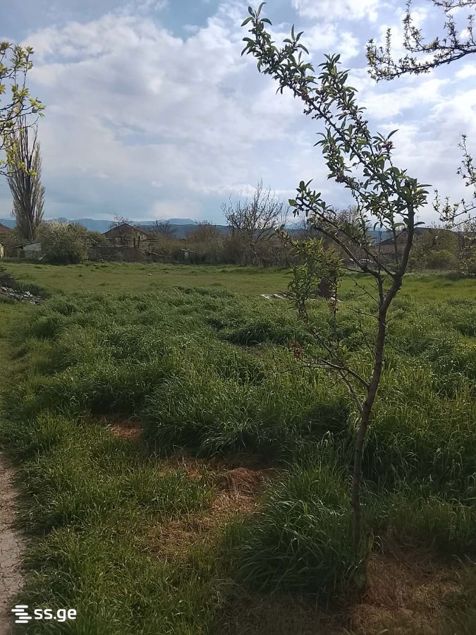 4 Room Private House For Sale view 4