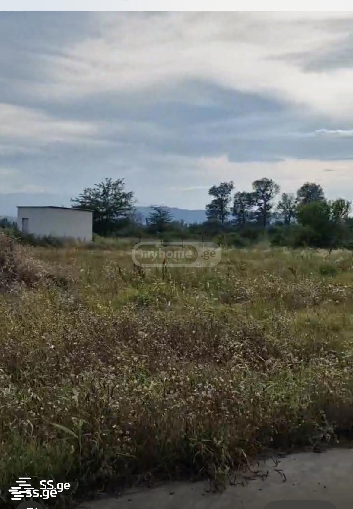 Store-Industrial Property For Sale. Natakhtari view 8