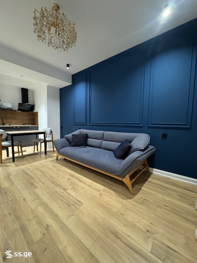 2 room Flat Daily rent. Isani - Ansicht 2