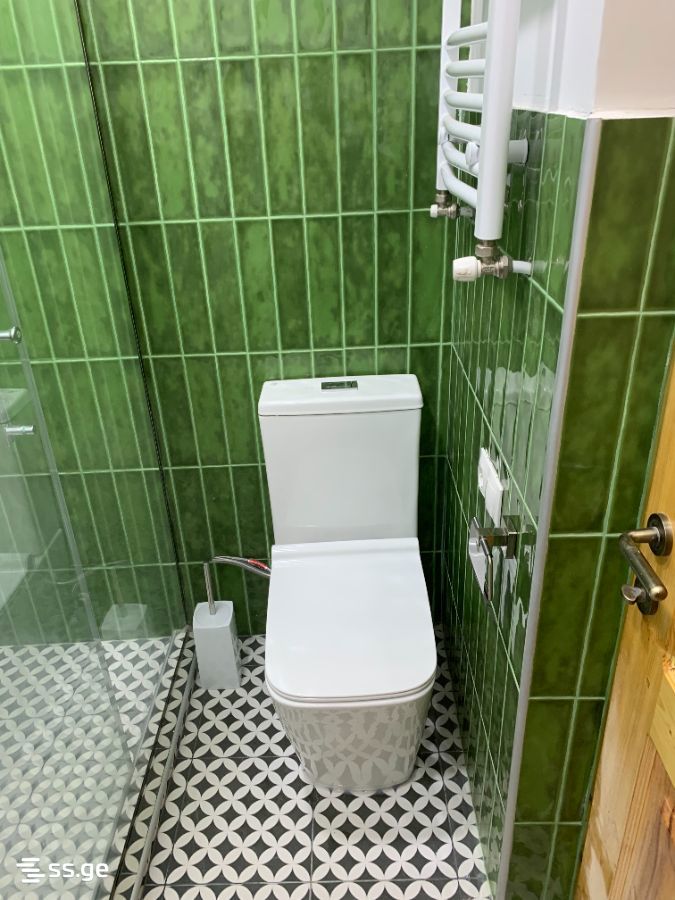 6 Room Private House Daily Rent. Shekvetili view 15