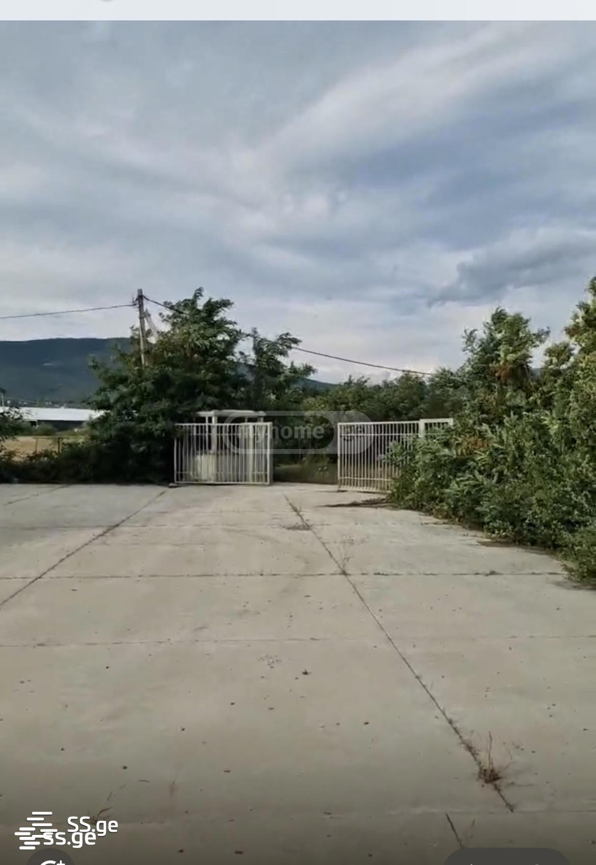 Store-Industrial Property For Sale. Natakhtari view 6